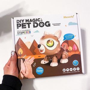 Robot Dog Toy